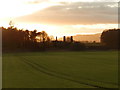 Field on Rossie Estate at sunset