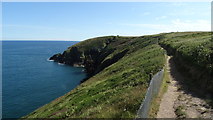 X2076 : Path leading out to Ram Head, Ardmore, Co Waterford by Colin Park