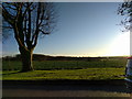 Fields next to the road at Durrington, looking south