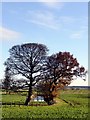 Remains of a moated priory at Low Melwood Farm