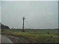 Electricity poles by Mangrove Lane south of Hertford