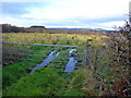 Rough ground, Loughmacrory