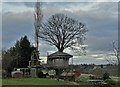 Tree house at Totley Bents