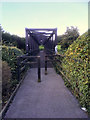 N7956 : Footbridge over the River Boyne at Trim by David Dixon