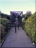 N7956 : Footbridge over the River Boyne at Trim by David Dixon