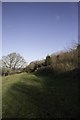 Bridleway near Manor Farm, West Chelborough