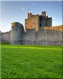 N8056 : Trim Castle Keep by David Dixon