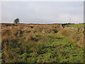 SE1342 : Very wet field, Little London farm by Stephen Craven