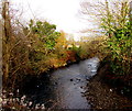 Upstream along the Llynfi, Tondu