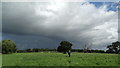 SJ5873 : Walking the Delamere Way between Ruloe & Onston by Colin Park