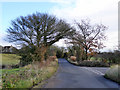 Road junction, Layer Breton