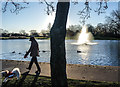 Early Morning Walkies, Victoria Park, Widnes