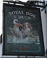 Royal Dog & Duck