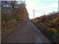 December view of Oakfield Lane