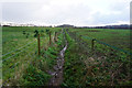 Path leading to Home Farm Plantation