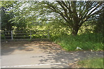 SP4810 : Pavement by the A40 by N Chadwick