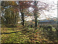 Bridleway at Allerthorpe Farm