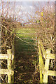 Footpath near Butts Farm