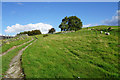 Track towards Moel Ty-uchaf