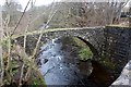 Old packhorse bridge, Braco