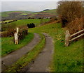 Access road to Bryn Mawr Farm, Bettws