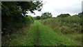 On National Forest Way - Path running SE from Bagworth Wood