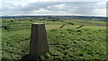 On Nyland Hill near Cheddar - view S towards Theale