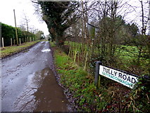 H4277 : Tully Road, Tattraconnaghty by Kenneth  Allen