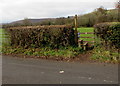 SO3321 : Offa's Dyke Path signpost and stile, Pandy, Monmouthshire by Jaggery