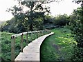 Board walk in West Park Local Nature Reserve, Uckfield