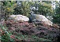 Sandrocks and heather, West Park Nature Reserve, Uckfield