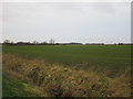 View towards Hallytreeholme