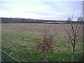 Fields by Tollgate Road, Roestock