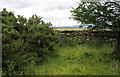 Trig point of Sheriffs Park