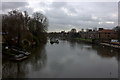 Upstream from Eel Pie Island bridge