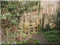 Footpath and stile