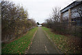 Path leading to Genesis Way, Europarc