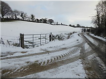 H4276 : Snow along Connaghty Road by Kenneth  Allen
