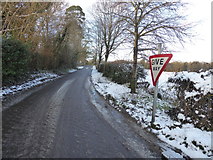 H4276 : Rash Road, Mountjoy Forest West Division by Kenneth  Allen