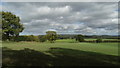 View to Maer Hills from bridleway through Willoughbridge Park