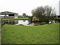 Pond at Ersham Farm, Hailsham