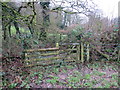 Llwybr cyhoeddus yn croesi heol / A footpath crossing a road