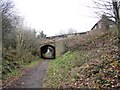 Bridge over the Derwent Walk at Ebchester