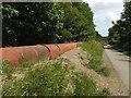 Pipe alongside the Greenway in Heckmondwike