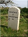 Old Milestone by the A338, Manor Road, Furzewick Down