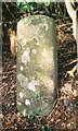 Old Milestone by the B4508, west of Watchfield