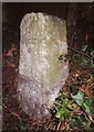 Old Milestone by the A4183, Hinksey Hill