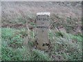 Old Milestone by the A338, south of East Hanney