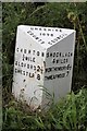 Old Milepost by the B5130, south of Churton