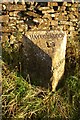 Old Milestone by the A686, north of Alston